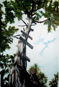 jumping tree.jpg